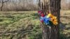 Місце розстрілу українських тероборонівців російськими військовими в Бузковому парку в Херсоні в березні 2022 року