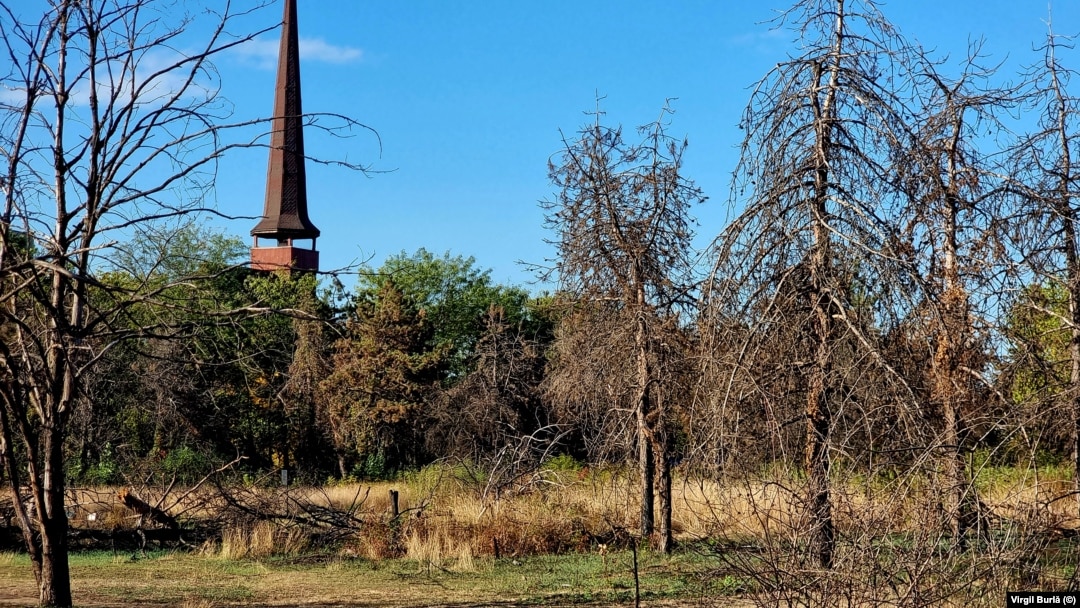 Parcul IOR a fost incendiat de mai multe ori în 2023. Terenul a fost retrocedat în trecut unei femei de 88 de ani. 