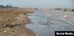 Micșorarea mării face ca insulele să dispară, să se deplaseze sau să fuzioneze, forțând focile să găsească noi locuri de odihnă.