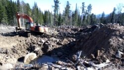 Добыча россыпного золота
