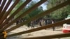 Kabul Suicide Attack Kills 17