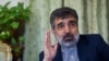  کمالوندی: برگزاری دور تازه مذاکرات ايران و آژانس سه‌شنبه در تهران