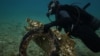 GREECE-ENVIRONMENT/SEA CLEANUP