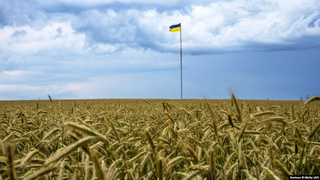 Захід шукає нові шляхи для вивезення українського зерна на глобальні ринки 