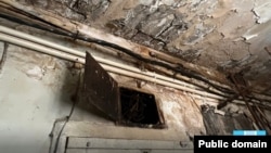 Լուսանկարը՝ դիտորդական խմբի