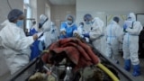 Ukraine forensics, Sumy