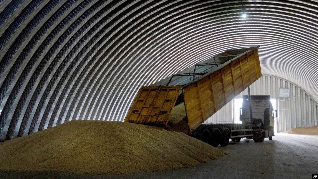  A dump truck unloads grain at a granary in the village of Zghurivka, Ukraine.