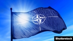 Міністри оборони країн-членів альянсу розглядатимуть це питання на своїй щоквартальній зустрічі у листопаді