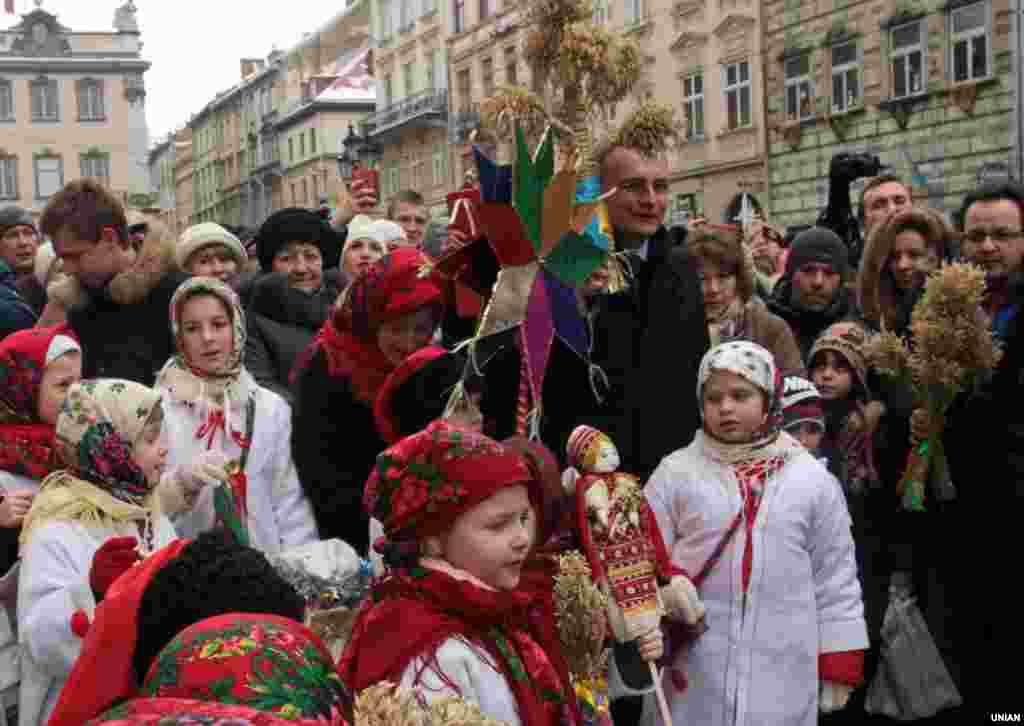 Різдвяного Дідуха встановили у Львові в переддень Різдва, 6 січня 2016 року
