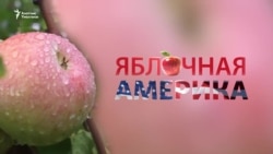 Алмалуу Америка