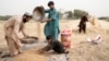 Afgani într-un lan de grâu, la periferia orașului Herat, Afganistan, iunie 2023. 
