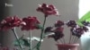16x9 Image