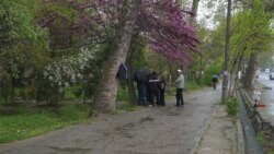 На рынке мардикоров