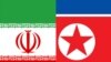 دیپلمات های ایران و کره شمالی دیدار کردند