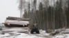 COP26: Дүйнөдө токойдун үчтөн бири жоголууда