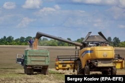 Kombajn utovaruje u kamion svježu pšenicu u blizini Harkiva, 30. srpnja.