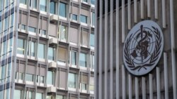 Дүйнөлүк саламаттыкты сактоо уюмунун баш кеңсеси, Женева шаары.
