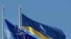 Співпраця з НАТО не замінить вступу до нього