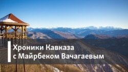 Хроника Кавказа. Друзья степей