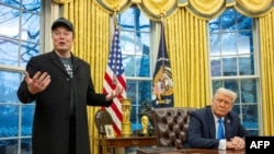 Илон Маск и Дональд Трамп