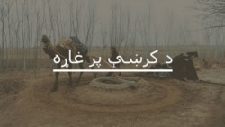 ناموس په نوم وژنو ضد کمپاين کې ديني عالمان څه رول لوبولای شي؟