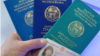 Жети миң паспорттун ыры менен чыры