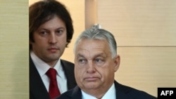 Ираклий Кобахидзе и Виктор Орбан
