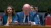Представитель России в ООН Василий Небензя